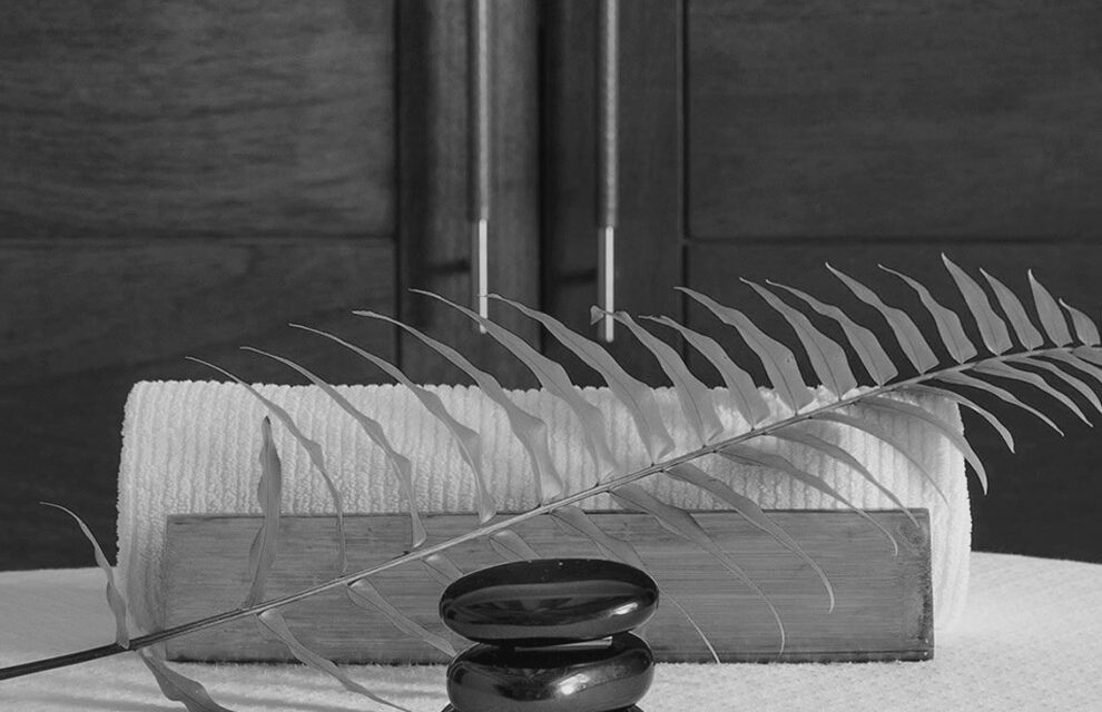 Transforming this Home into a Halloween Wonderland!